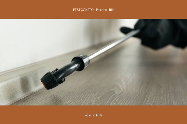 PEST CONTROL Picacho Hills